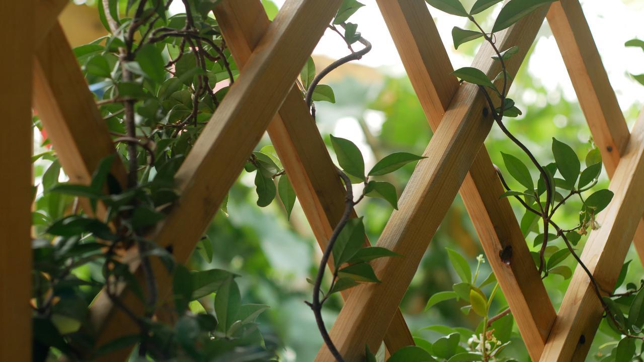 My Garden 호텔 트빌리시 외부 사진