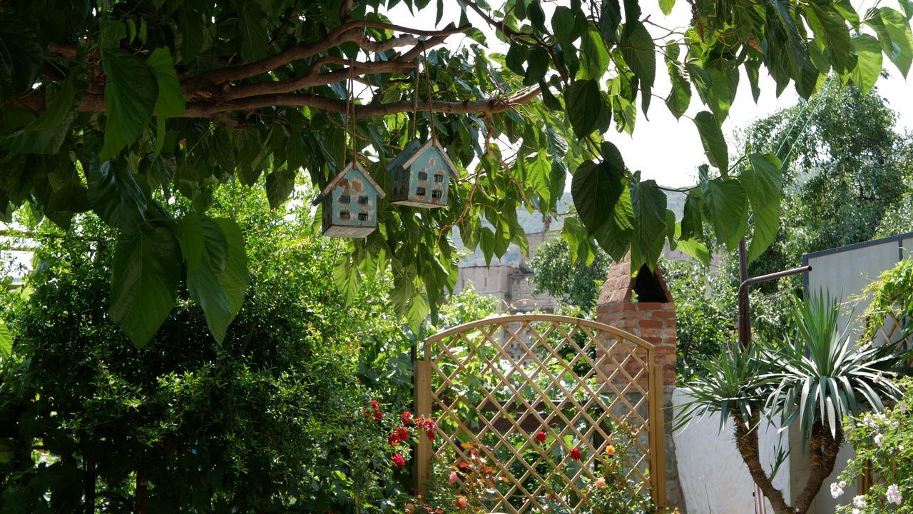 My Garden 호텔 트빌리시 외부 사진