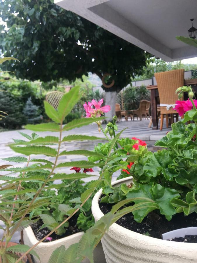 My Garden 호텔 트빌리시 외부 사진