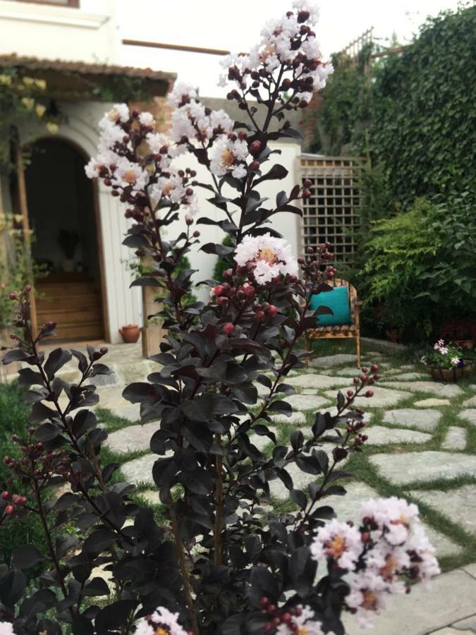 My Garden 호텔 트빌리시 외부 사진